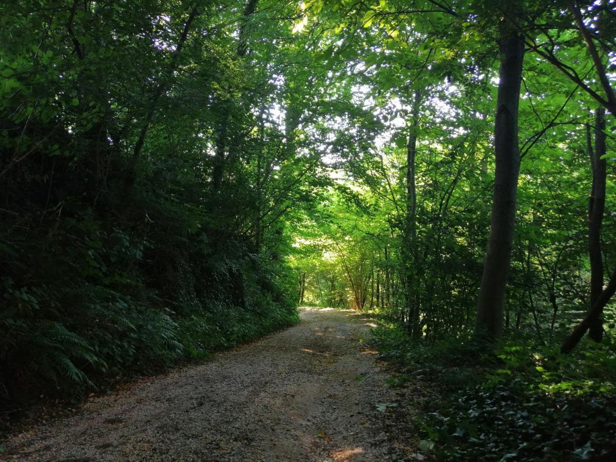 La Cordana Rooms Valdobbiadene Kültér fotó